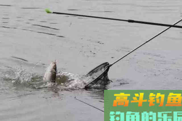 调漂的关键是根据鱼情和水情进行转换的