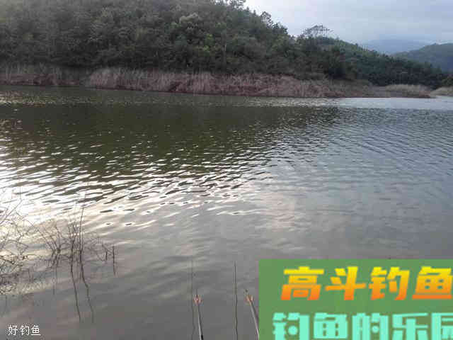 浮漂调平水的钓鱼的优势与要点