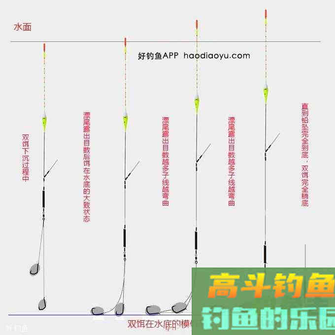 钓鱼调漂找到清晰顿口的四个步骤方法