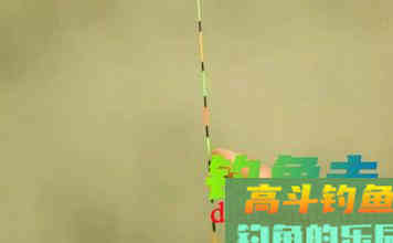 钓鱼调漂不能忽视的4个细节