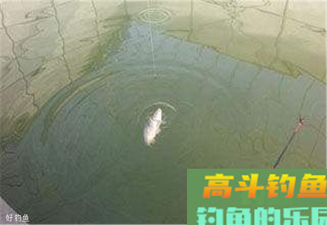 关于漂的力学解释，你可能还不知道