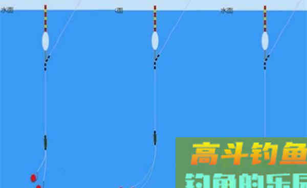 调几钓几其实并不重要，重要的是双饵在水底的状态