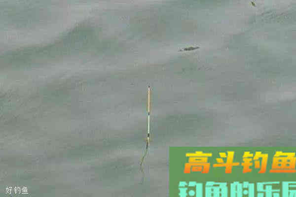 野钓调漂，何时钓灵何时钓钝？