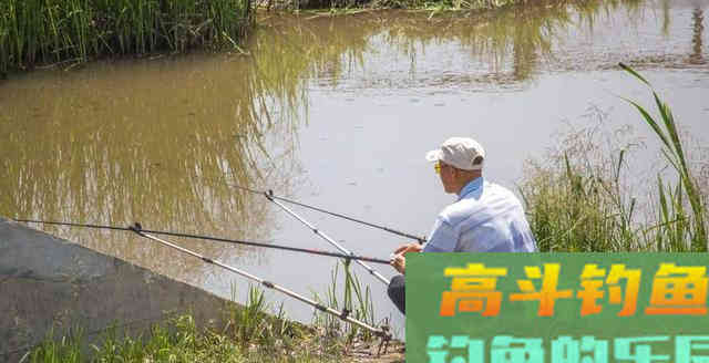 很多钓友不知浮漂调灵了还是钝了