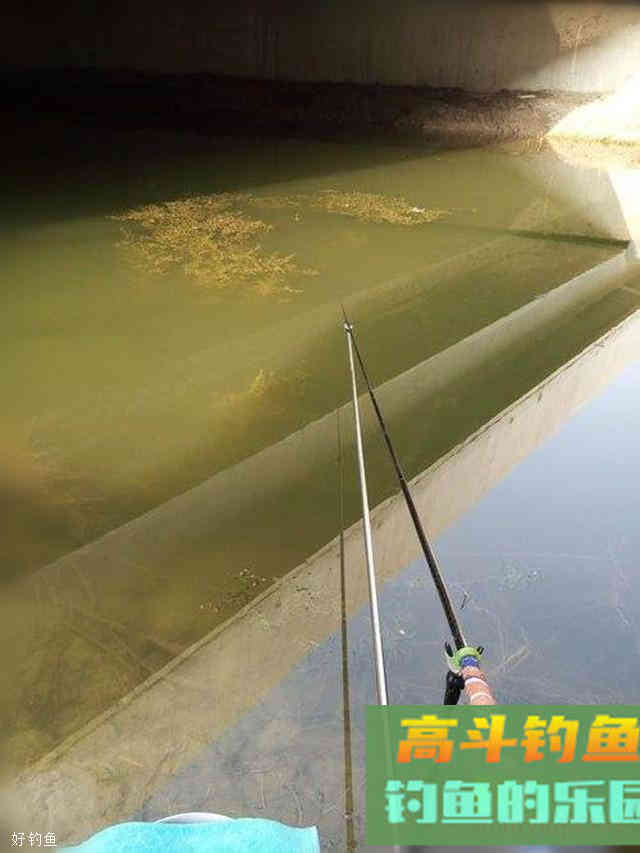 挂底的原因，处理方式以及如何避免