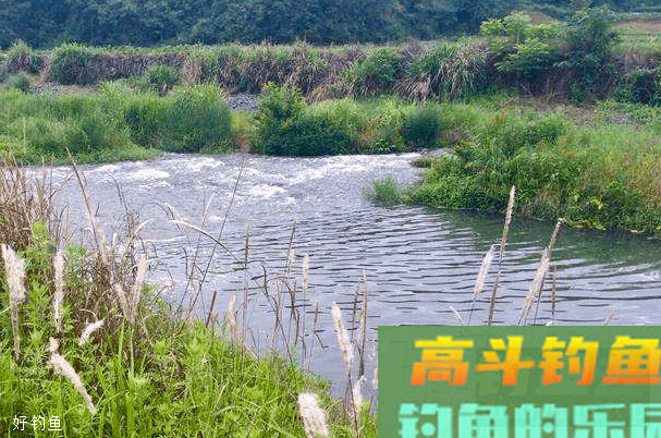 野钓走水不用慌，记住这四个方法