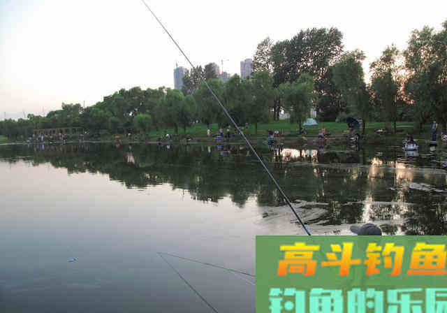 秋季野钓调漂是钓灵，还是钓钝？教你两招，
