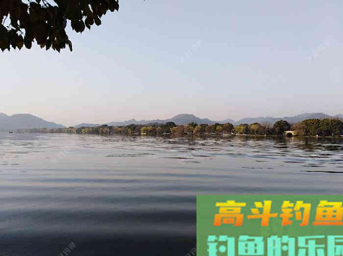 钓鲫鱼的漂相解析