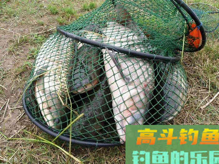 这个调漂的变化让我最终没有空军