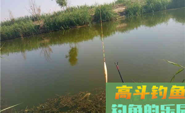 盘点常用的5种调漂方法，以后不用为了调漂发愁了