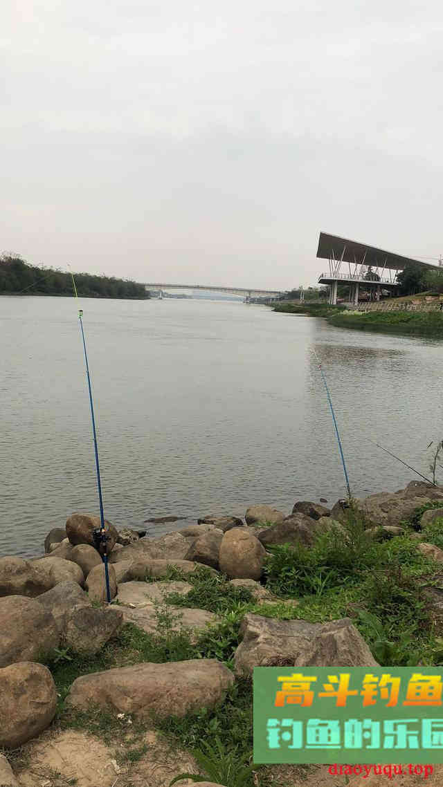 根据水底情况调漂，提高中鱼率，不再有鱼星但没鱼口