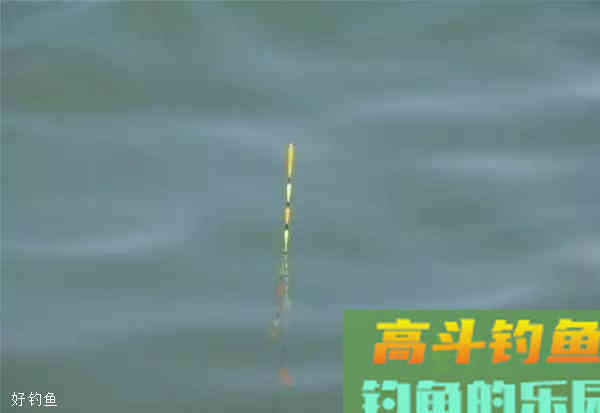 常见的10种虚假浮漂信号