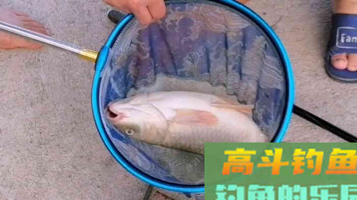 蚯蚓个作钓，钓半水调漂法！及垂钓方法
