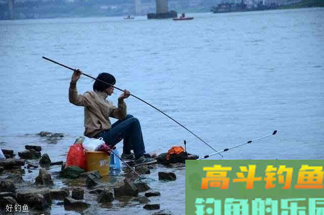 台钓中漂的调钓方法与怎么观看