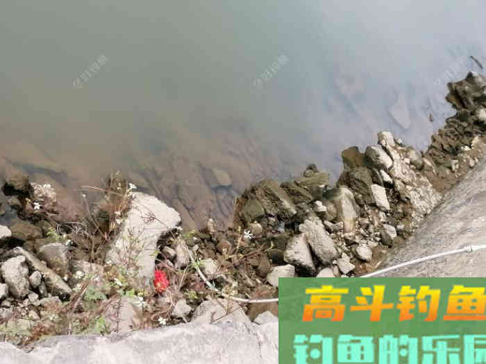 野钓，调平水，还是调几钓几好？待家研究钓