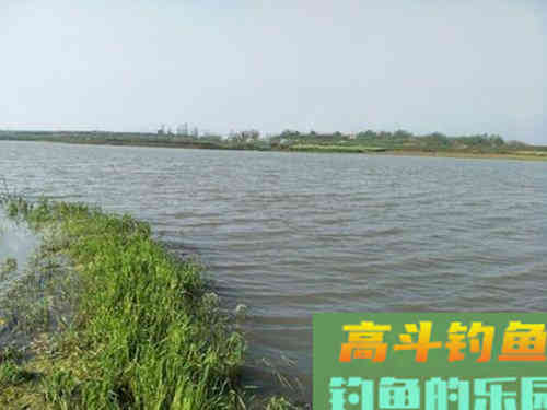 解析夏季野钓两个调漂技巧