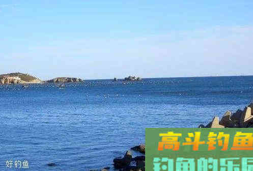 冬季钓鲫鱼怎么调漂？老钓友的调漂思路分析