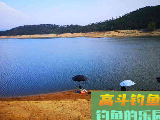 好浮漂真的更容易出顿口？其实不然，抓口只和这项有关