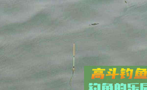 钓鱼调漂不纠结，用公式告诉你双饵状态