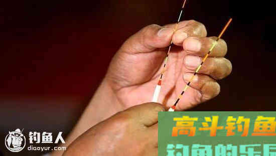 不同鱼情的浮漂灵钝调钓技巧