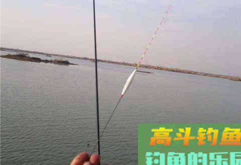 黑坑钓鱼如何调漂？看看这4种方法