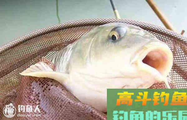 调漂灵钝的最佳平衡点之新说
