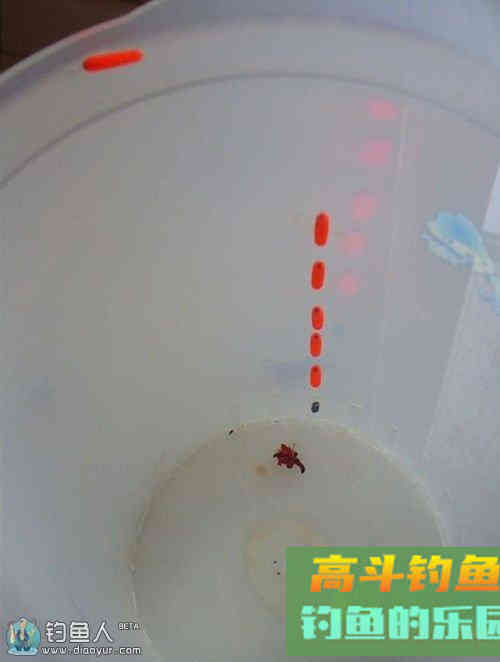 冬钓鲫鱼的星漂传统线组调漂技巧