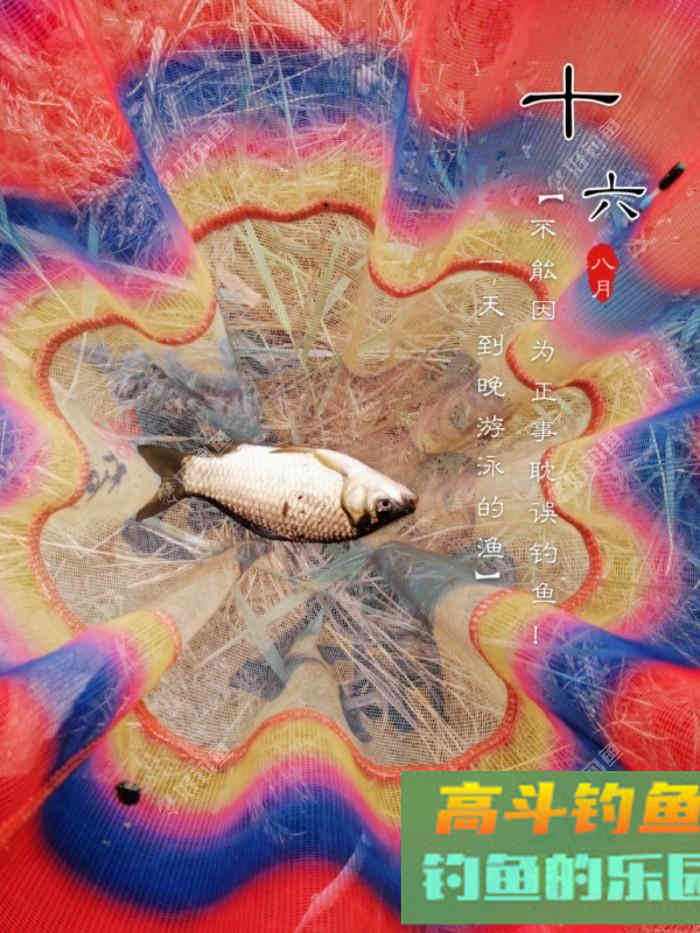 什么情况要调平水钓一两目，话空钩半水调漂
