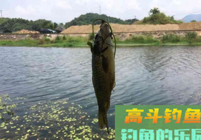 四个常用的调漂方法
