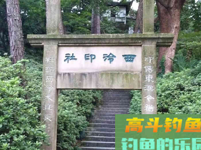 如何判断钓灵了还是钓顿了？