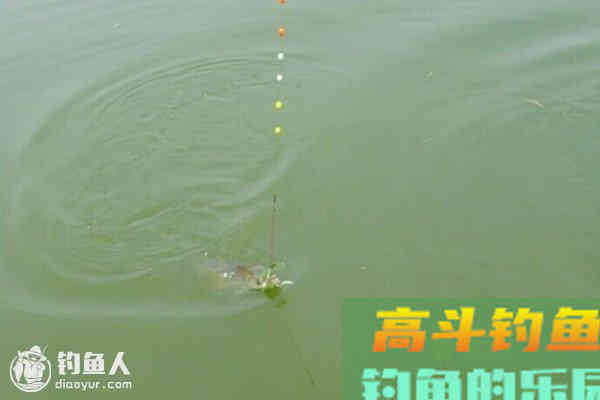 七星漂的灵活运用调漂方法