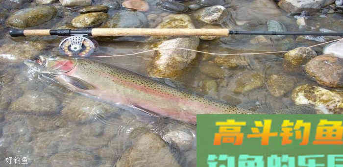 深秋野钓鲫鱼该如何调漂？