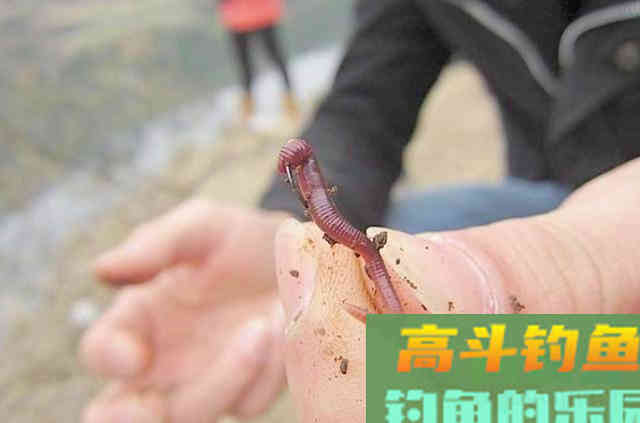 调漂过程中，需要钓友牢牢记住的2个冷知识