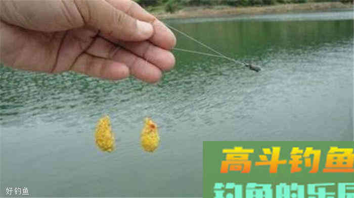 通过调目和钓目两个词来学习调漂技巧