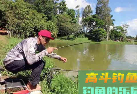 为什么说野钓调漂，调平水，抓的鱼口最多也最真实