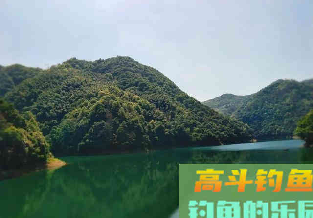 想钓大鱼先找底，一张图告诉你找底的重要性