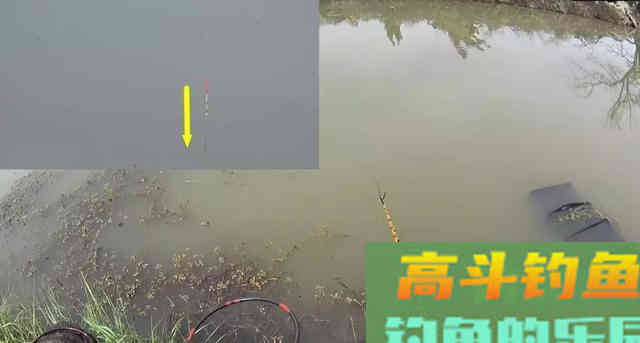 别再纠结调几钓几了，最简单的调漂方式在这里，越钓越轻松