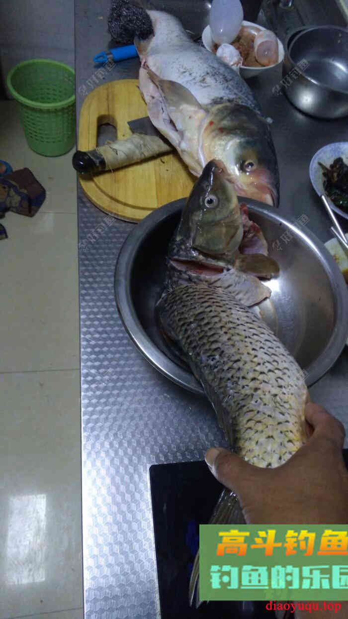 冬季黑坑钓鲤鱼的调漂方法
