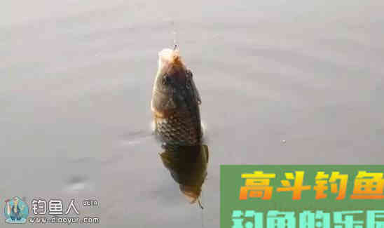 寒潮作钓的基础找底法（野钓、黑坑、竞技钓）