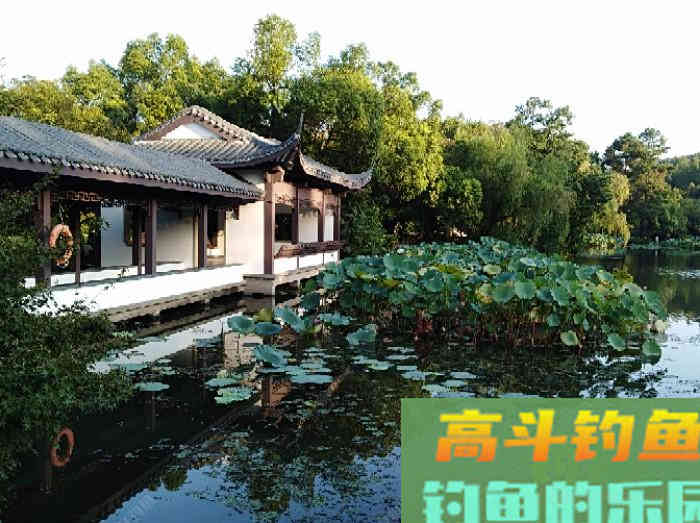 浮漂性能与调钓技巧，调好漂是爆护最关键一步