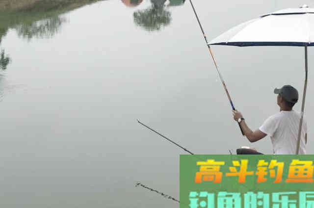 遇到鱼口不好时，可以采用的一些调钓技能