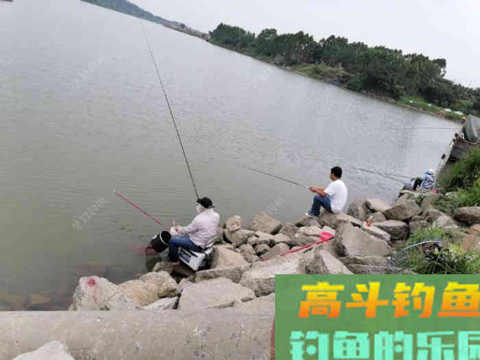 调漂技巧分享，高手给大家讲解如何半水调漂