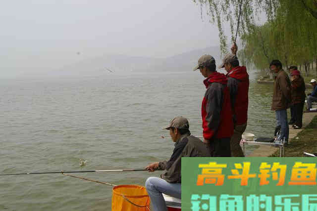 调整浮标也不难，可以借鉴这些经验