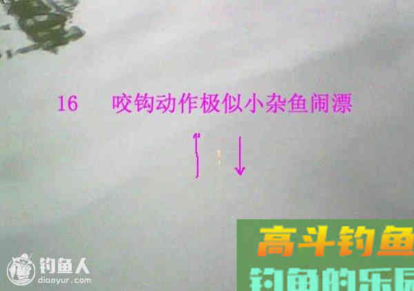 图解鲫鱼的常见咬钩信号漂像
