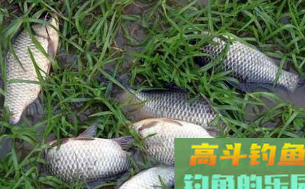浮漂的软硬尾，从物理学角度来说，怎么用，其实很简单