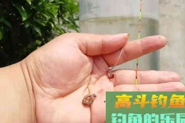 浮漂调钓时，掌握这几个小技巧，中鱼率高不空竿
