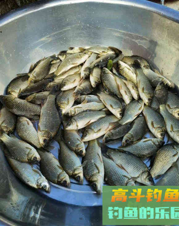 漂相很稳就是打不中鱼？解决起来挺简单