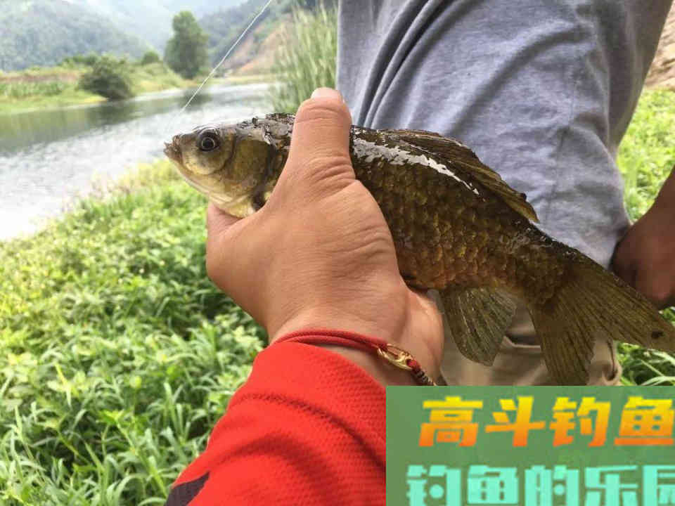 七星漂的两种调漂方法，看图详解