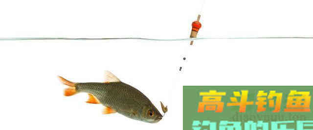 野钓时调平水钓两目如何调漂？调平水钓两目的调钓技巧