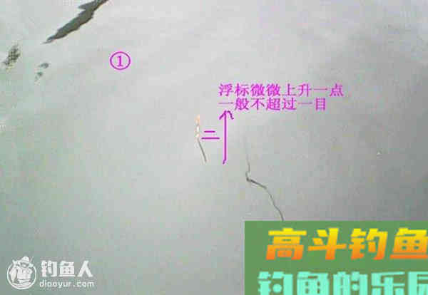 图解鲫鱼的常见咬钩信号漂像